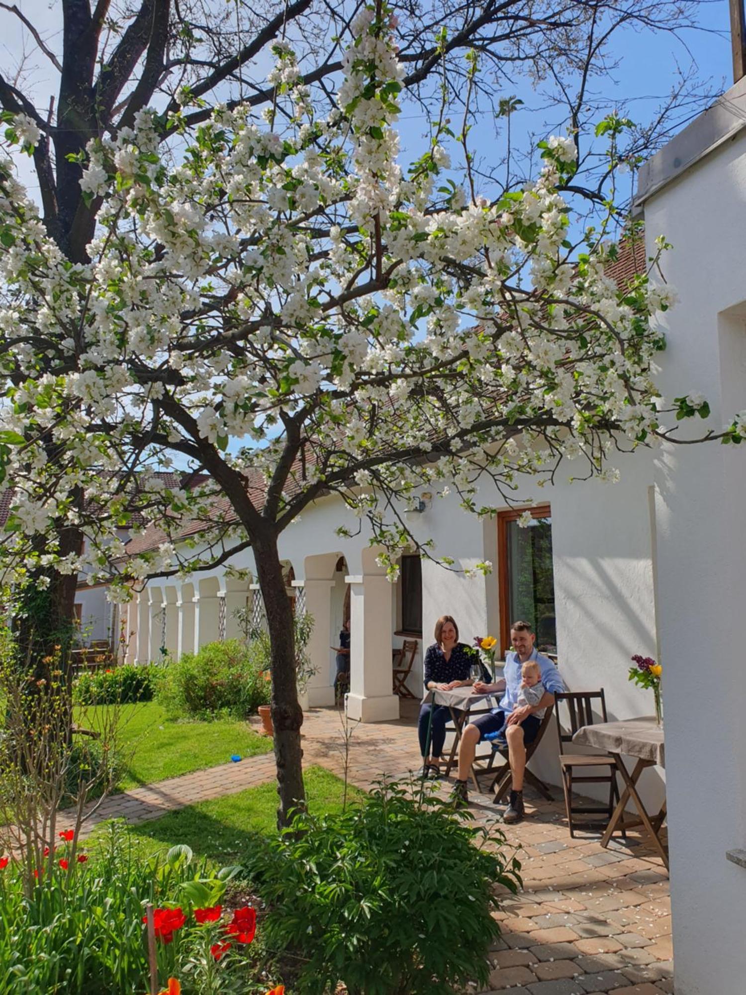 Weingut Bohrn Himmelbett Hotel Herrnbaumgarten Exterior photo